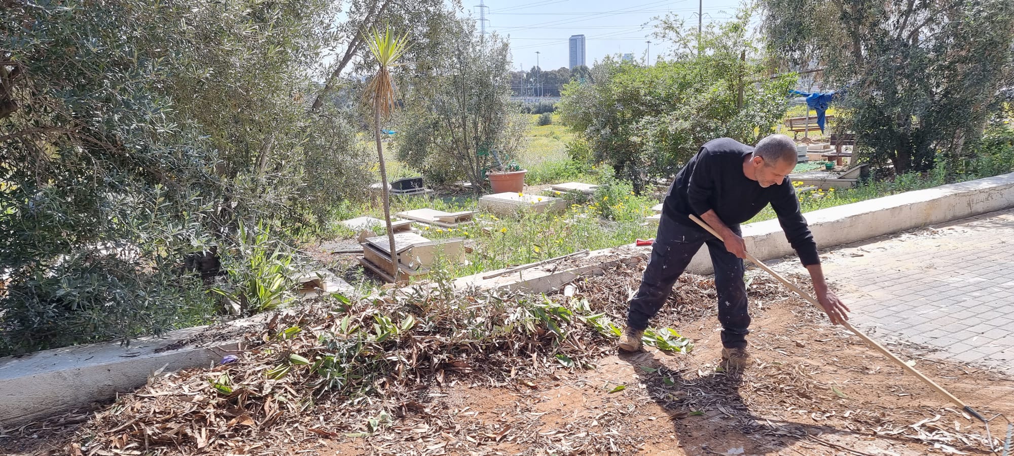 WhatsApp Image 2023-03-18 at 11.16.18 AM.jpeg